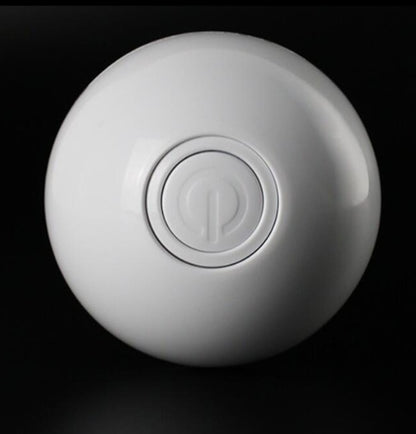 Funny LED Laser Rolling Ball Pet Toy - Companion Care