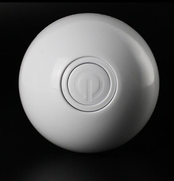 Funny LED Laser Rolling Ball Pet Toy - Companion Care