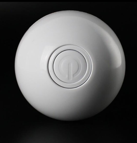 Funny LED Laser Rolling Ball Pet Toy - Companion Care