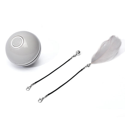 Funny LED Laser Rolling Ball Pet Toy - Companion Care