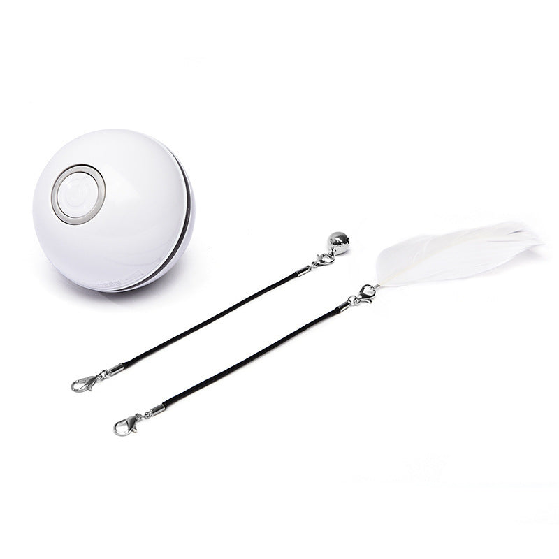 Funny LED Laser Rolling Ball Pet Toy - Companion Care