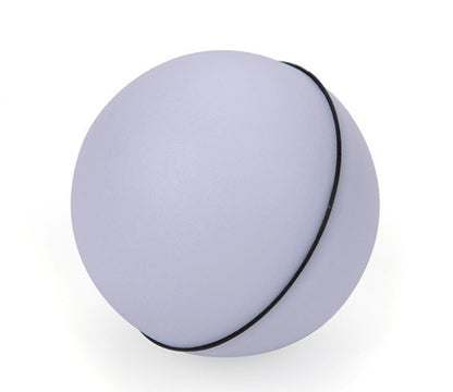 Funny LED Laser Rolling Ball Pet Toy - Companion Care