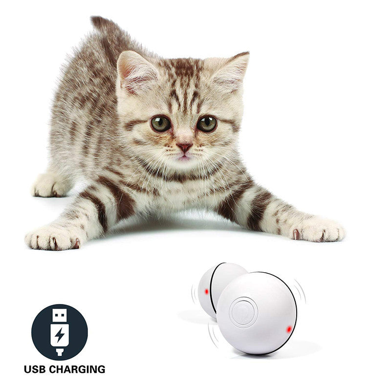 Funny LED Laser Rolling Ball Pet Toy - Companion Care