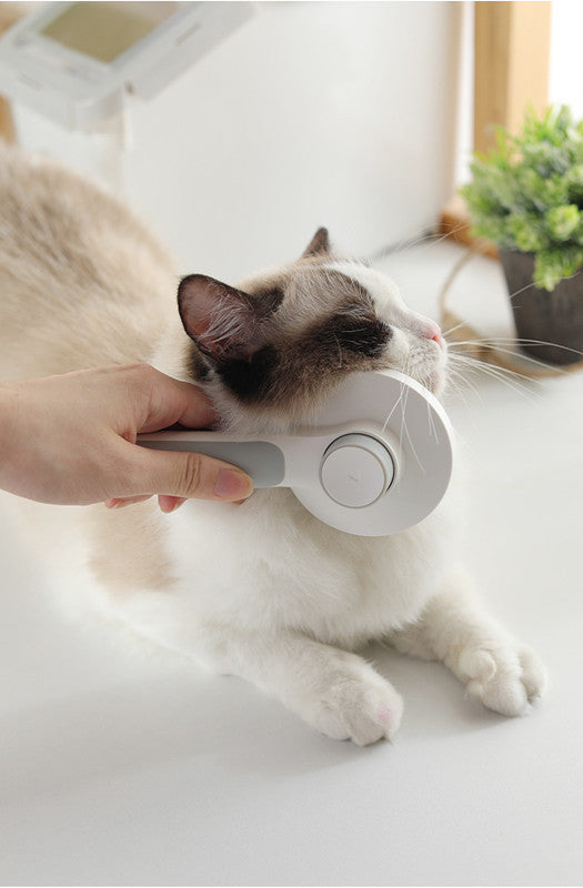 Round Handle Pet Massage Comb - Companion Care