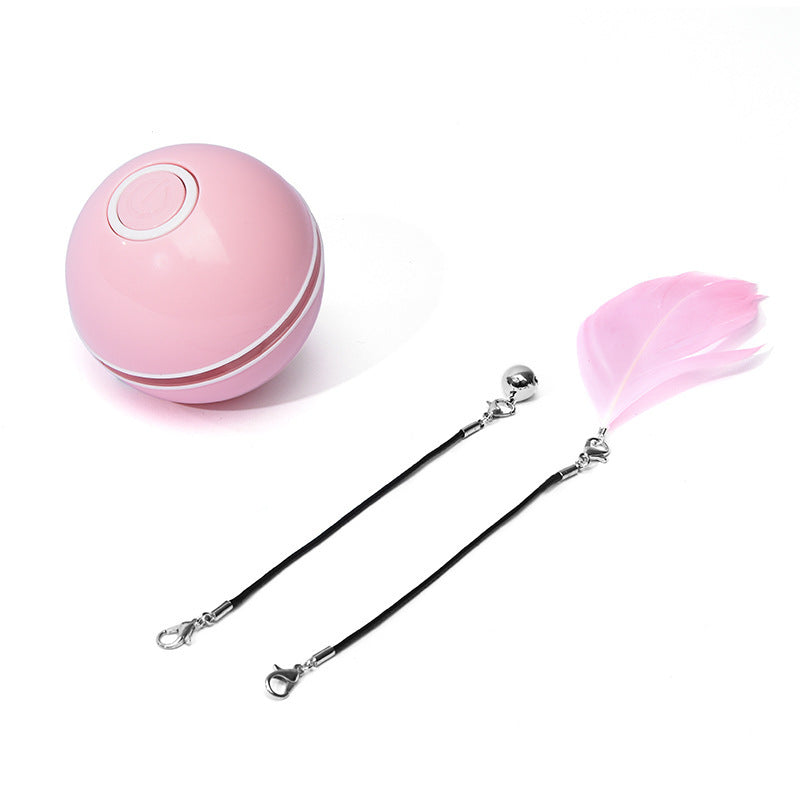 Funny LED Laser Rolling Ball Pet Toy - Companion Care