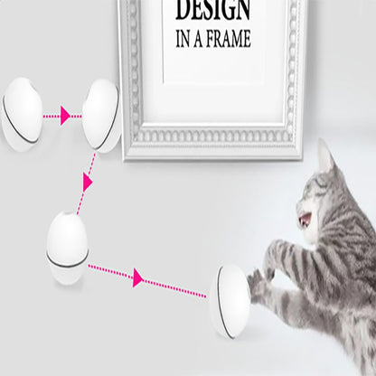 Funny LED Laser Rolling Ball Pet Toy - Companion Care