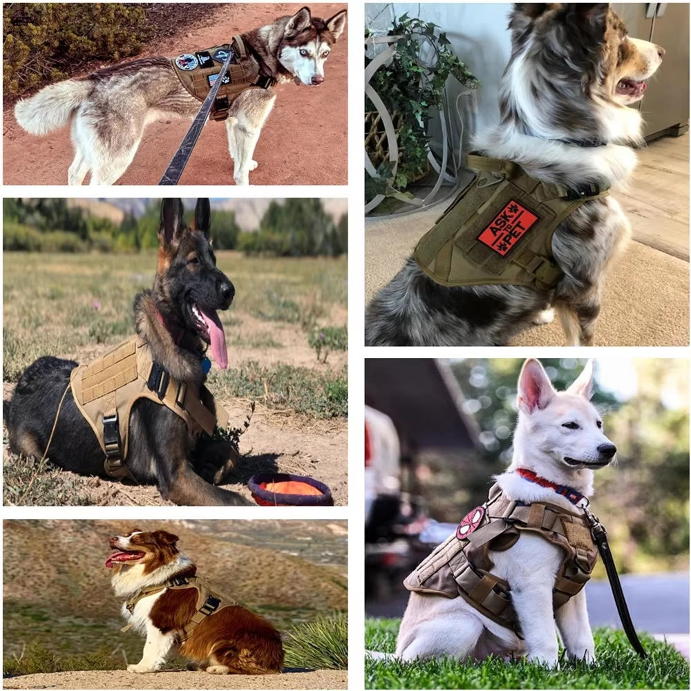 Luxury Pet Dog Leash Harness Set - Companion Care