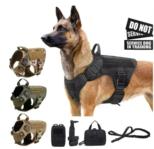 Luxury Pet Dog Leash Harness Set - Companion Care