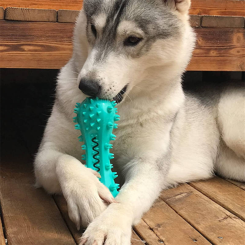 Aggressive Pet Dog Chew Toy Stick - Companion Care